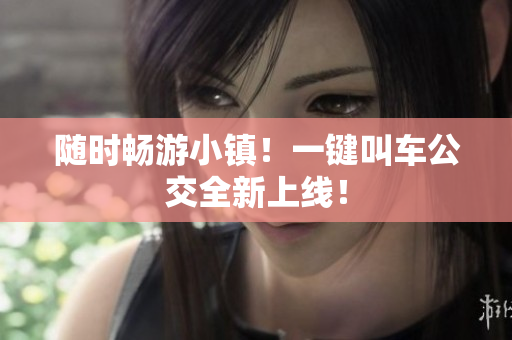 随时畅游小镇！一键叫车公交全新上线！
