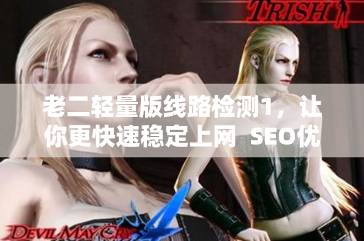 老二轻量版线路检测1，让你更快速稳定上网  SEO优化建议