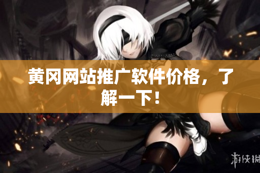 黄冈网站推广软件价格，了解一下！