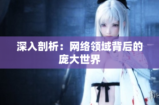 深入剖析：网络领域背后的庞大世界