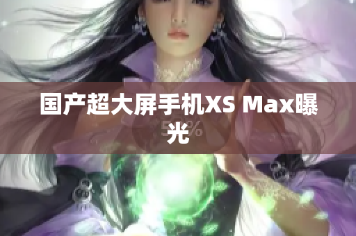 国产超大屏手机XS Max曝光