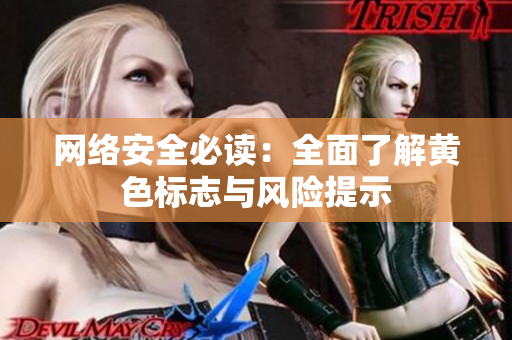 网络安全必读：全面了解黄色标志与风险提示