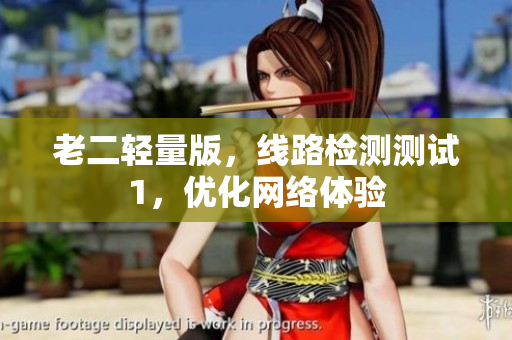 老二轻量版，线路检测测试1，优化网络体验