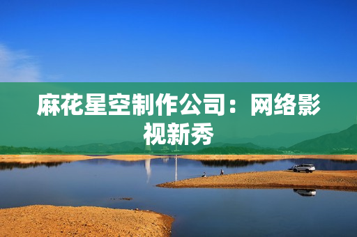 麻花星空制作公司：网络影视新秀
