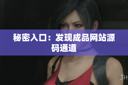 秘密入口：发现成品网站源码通道