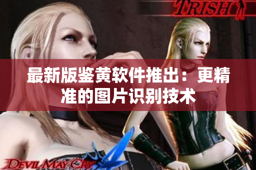 最新版鉴黄软件推出：更精准的图片识别技术