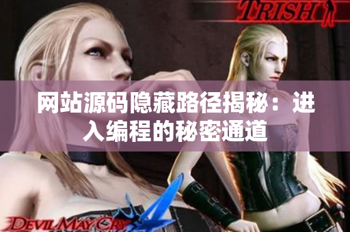 网站源码隐藏路径揭秘：进入编程的秘密通道