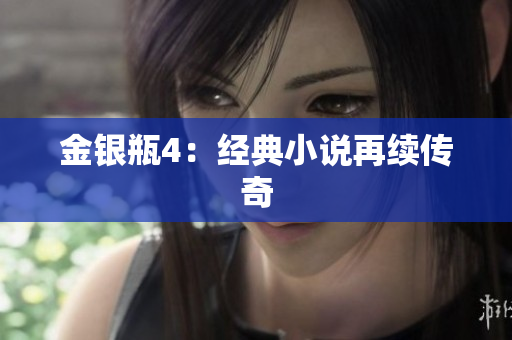 金银瓶4：经典小说再续传奇