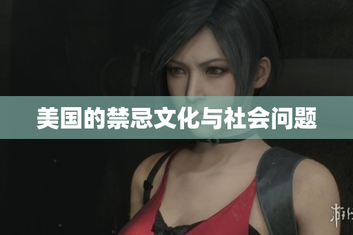 美国的禁忌文化与社会问题