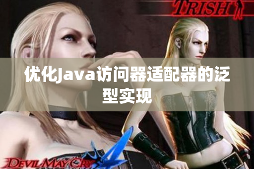 优化Java访问器适配器的泛型实现