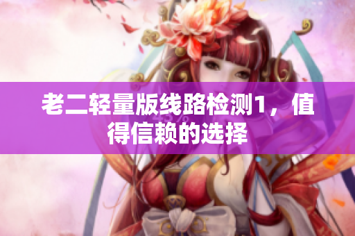 老二轻量版线路检测1，值得信赖的选择