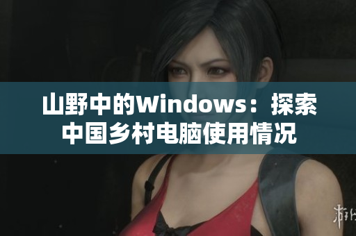 山野中的Windows：探索中国乡村电脑使用情况
