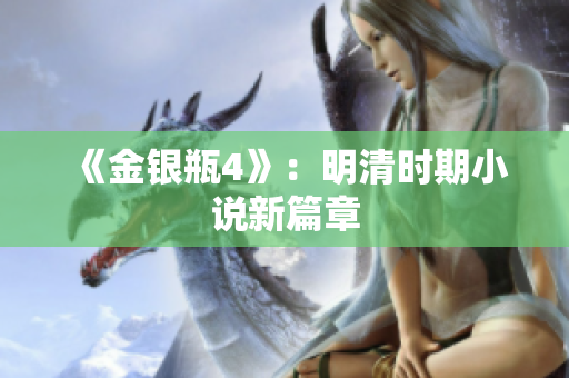 《金银瓶4》：明清时期小说新篇章