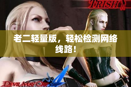 老二轻量版，轻松检测网络线路！