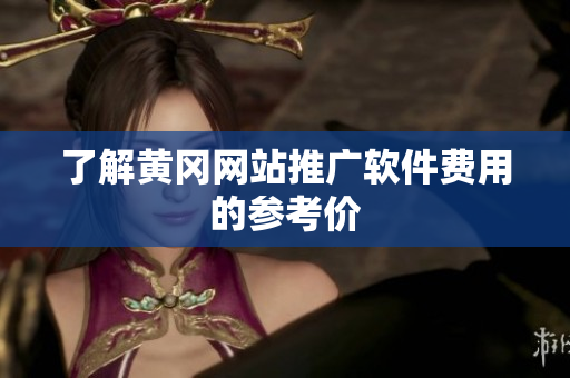 了解黄冈网站推广软件费用的参考价
