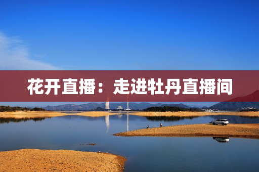 花开直播：走进牡丹直播间