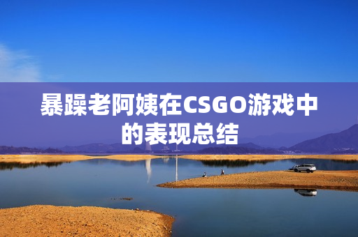 暴躁老阿姨在CSGO游戏中的表现总结