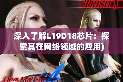 深入了解L19D18芯片：探索其在网络领域的应用)