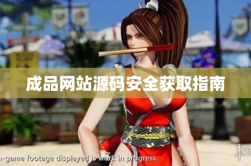 成品网站源码安全获取指南