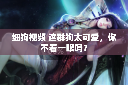 细狗视频 这群狗太可爱，你不看一眼吗？