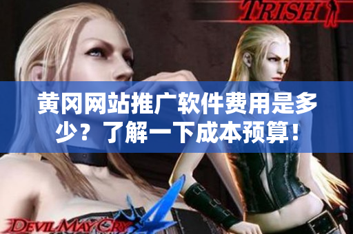 黄冈网站推广软件费用是多少？了解一下成本预算！