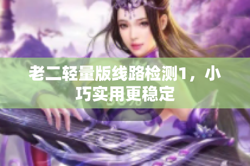老二轻量版线路检测1，小巧实用更稳定
