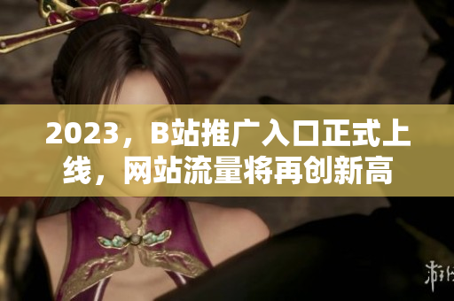 2023，B站推广入口正式上线，网站流量将再创新高