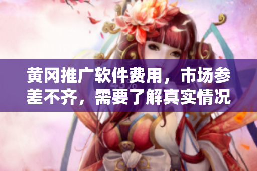 黄冈推广软件费用，市场参差不齐，需要了解真实情况。