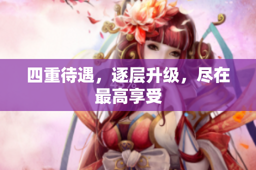 四重待遇，逐层升级，尽在最高享受