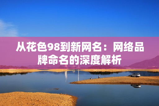 从花色98到新网名：网络品牌命名的深度解析