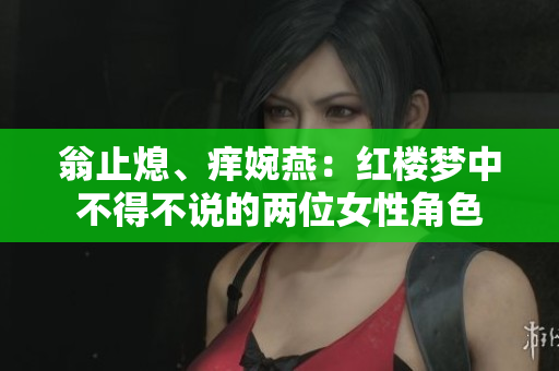 翁止熄、痒婉燕：红楼梦中不得不说的两位女性角色