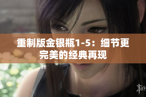 重制版金银瓶1-5：细节更完美的经典再现