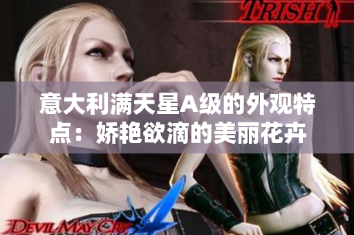 意大利满天星A级的外观特点：娇艳欲滴的美丽花卉