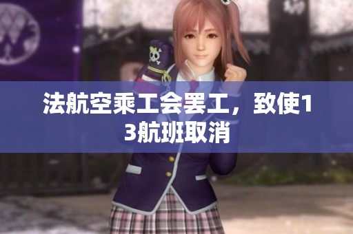 法航空乘工会罢工，致使13航班取消