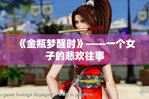 《金瓶梦醒时》——一个女子的悲欢往事