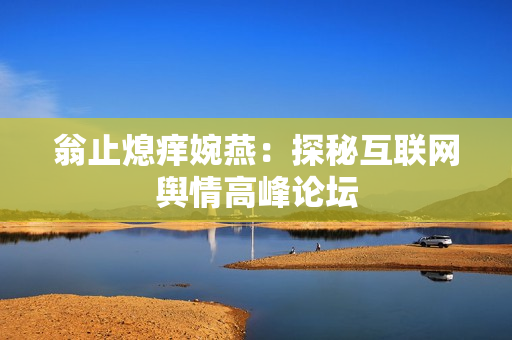翁止熄痒婉燕：探秘互联网舆情高峰论坛