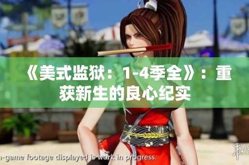《美式监狱：1-4季全》：重获新生的良心纪实