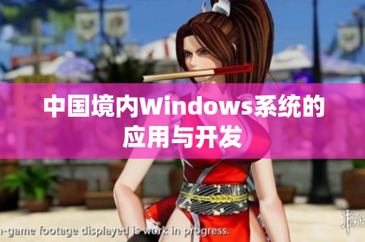 中国境内Windows系统的应用与开发