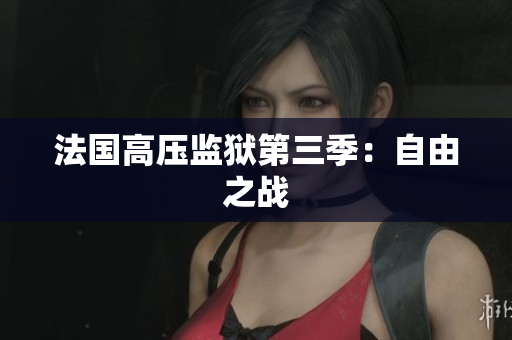 法国高压监狱第三季：自由之战