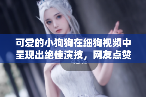 可爱的小狗狗在细狗视频中呈现出绝佳演技，网友点赞不断！