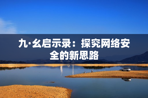 九·幺启示录：探究网络安全的新思路