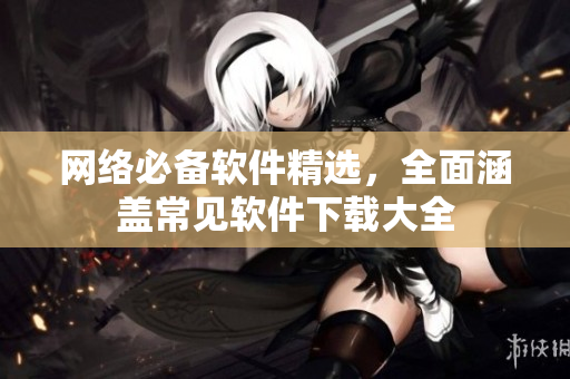 网络必备软件精选，全面涵盖常见软件下载大全