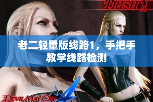 老二轻量版线路1，手把手教学线路检测