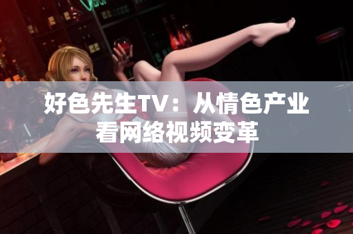 好色先生TV：从情色产业看网络视频变革