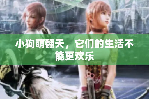 小狗萌翻天，它们的生活不能更欢乐