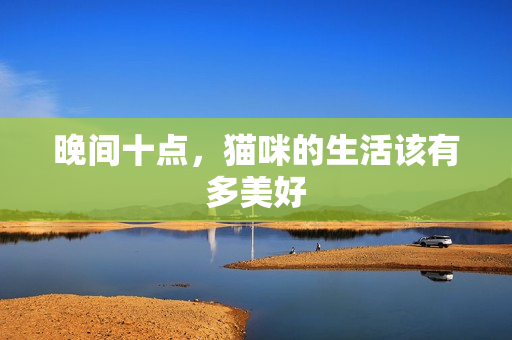 晚间十点，猫咪的生活该有多美好