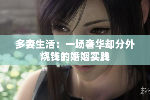 多妻生活：一场奢华却分外烧钱的婚姻实践