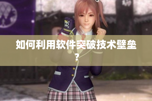 如何利用软件突破技术壁垒？
