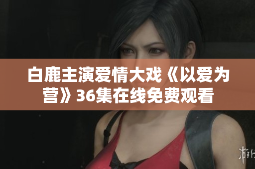 白鹿主演爱情大戏《以爱为营》36集在线免费观看