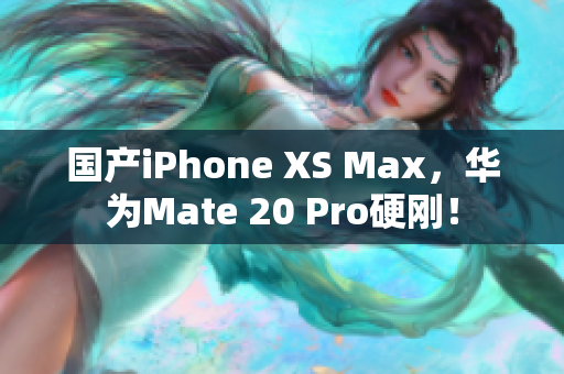 国产iPhone XS Max，华为Mate 20 Pro硬刚！